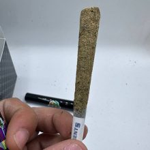 DB PreRolls