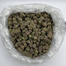 Purple Green Weed