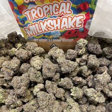 Tropical Milkshake Weed