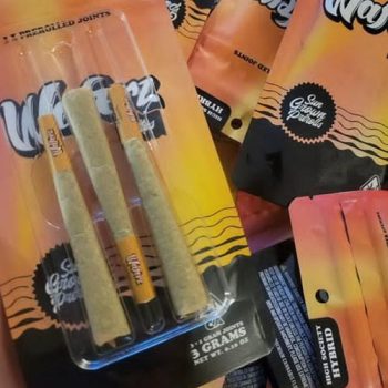 Waferz Lites PreRolls